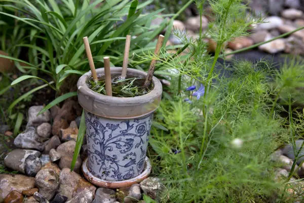 Cum să faci o lagună hoverfly