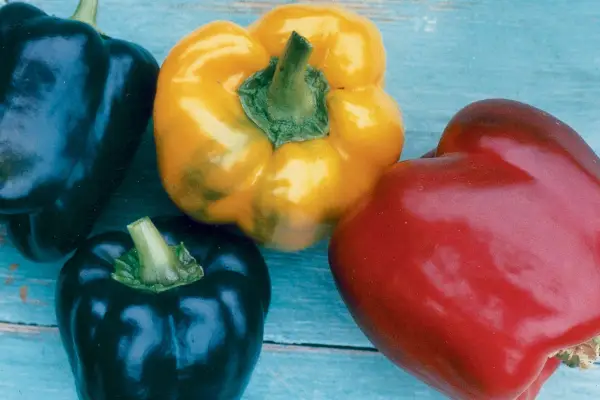How to grow sweet peppers from seed