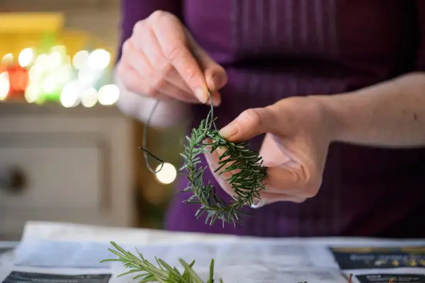 Forming the rosemary circle