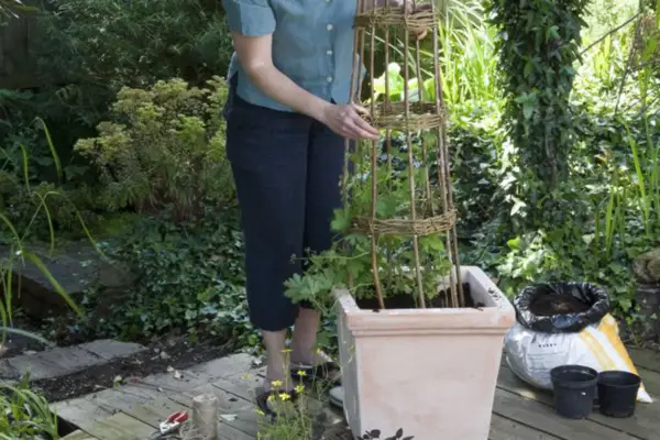 Adding the willow wig-wam