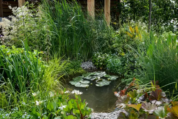 Garden wildlife pond