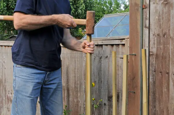 Hammering stakes into the soil