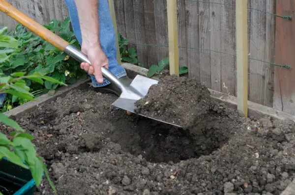 Digging a hole