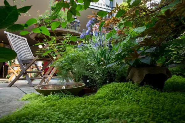 Real garden: Juan Carlos Cure