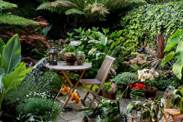 גנים אמיתיים: חצר טרופית זעירה