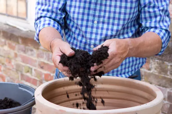 Gardener adding compost to pot
