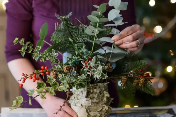 Arranging the winter foliage