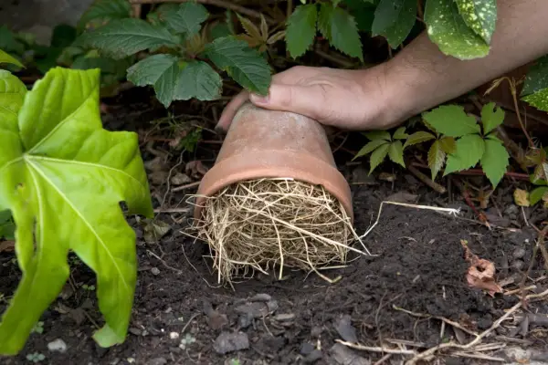 How to make a bumblebee pot