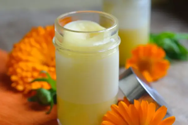 Calendula balm in a jar