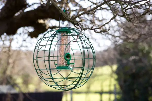 Finished crow-proof bird feeder