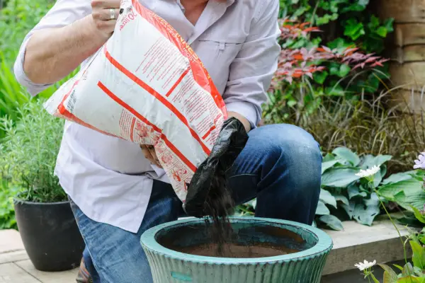 Filling the pot with compost