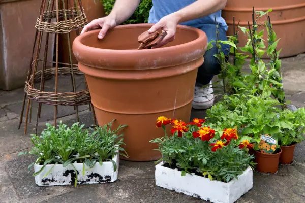 Adding crocks to the container