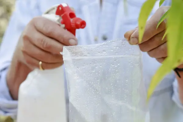 Spraying a bag to make it wet