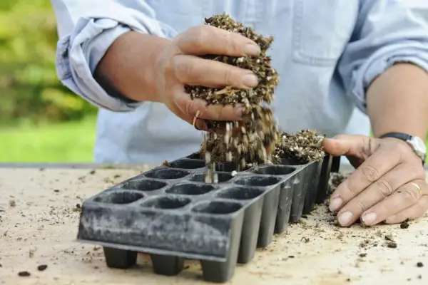 Adding compost to the modules