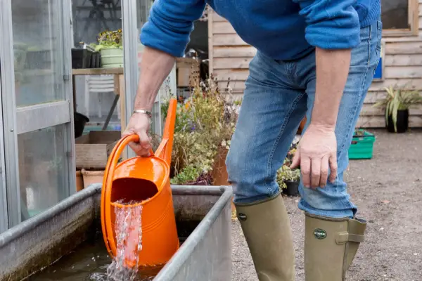 Filling a watering can