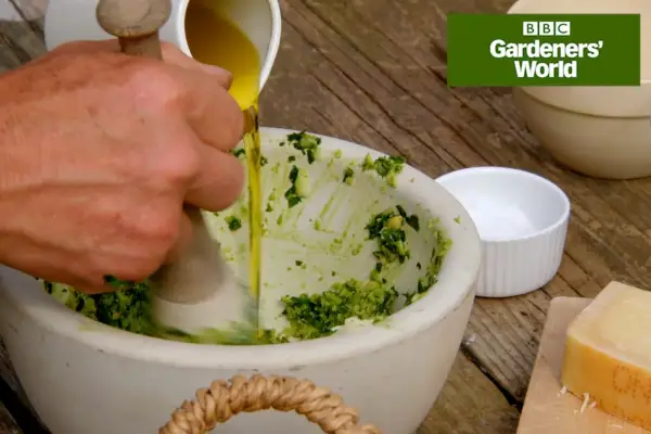 How to make pesto video