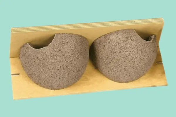 CJ Wildlife House Martin Nest Box - Verdantvows