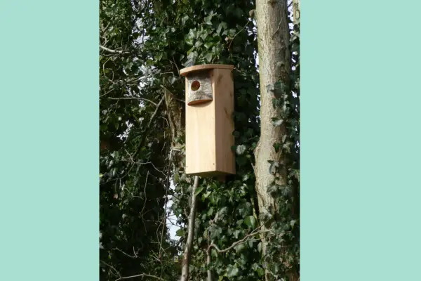 Wildlife World Woodpecker Box - Verdantvows