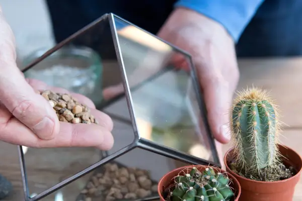 Adding the grit to the terrarium