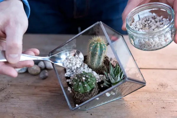 Adding gravel to the terrarium