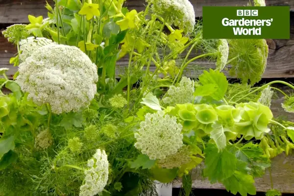 Jak wybrać kwiaty do cięcia