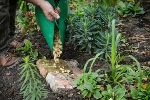 Adding crushed gravel to the bricks