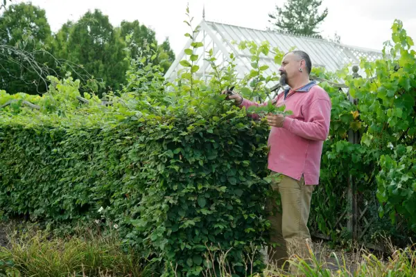 Assessing the hedge before pruning