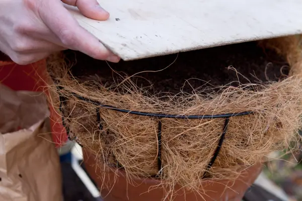 How to create a hanging muscari ball - covering the basket with wood