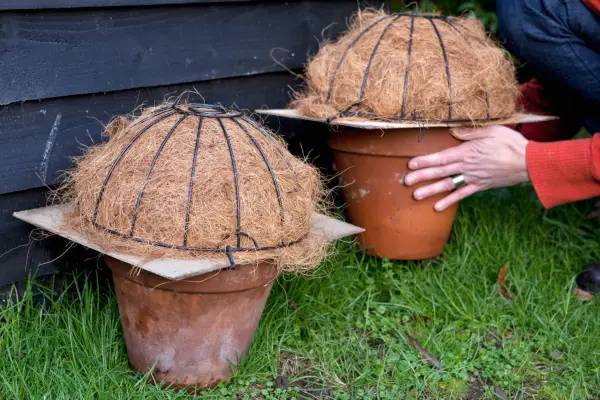 How to create a hanging muscari ball - standing the pots out of sight for winter