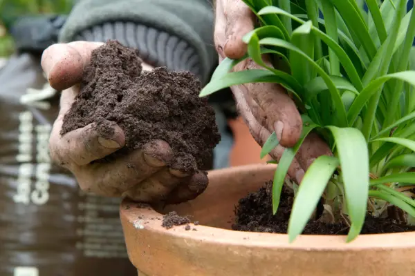 backfilling-with-compost-4