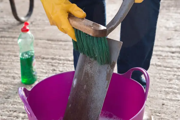 Scrubbing the spade with a brush
