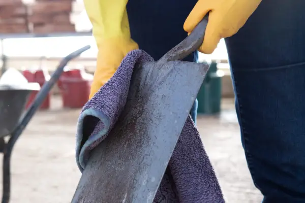 Drying the spade with a cloth