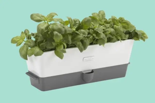 Cole & Mason Fresh Herb Range Self-Watering Potted Herb Keeper - Verdantvows