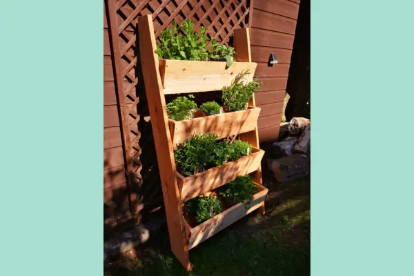 Vertical Scottish Larch Garden Ladder Planter - Verdantvows