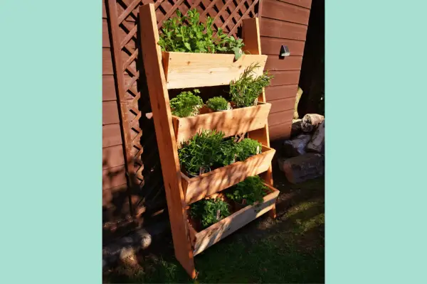 Vertical Scottish Larch Garden Ladder Planter - Verdantvows