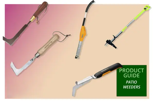 Les meilleurs tireurs de paado en 2024