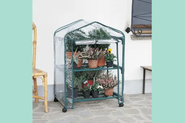 Verdemax Azalea Greenhouse – Verdantvows