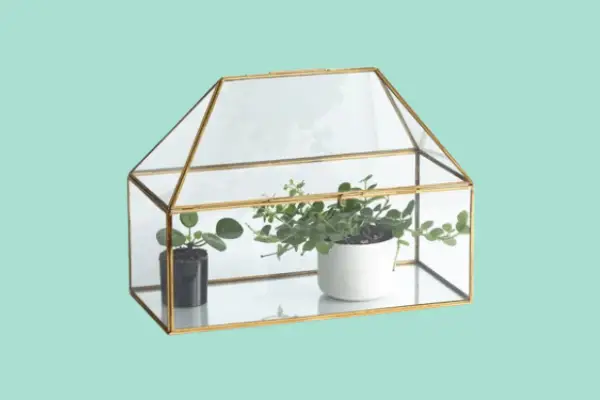 Uvoya indoor greenhouse