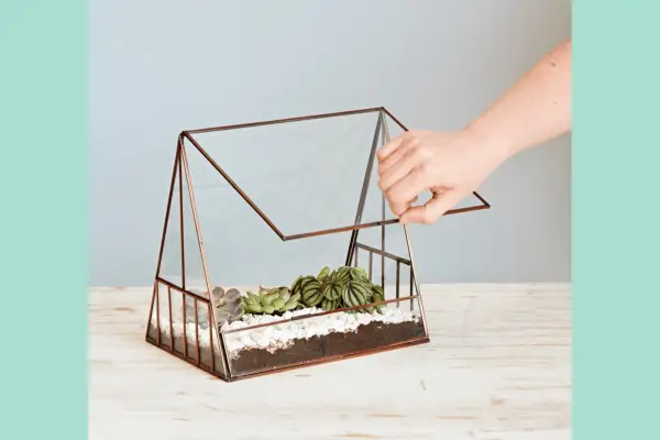 Otte af de bedste indendørs drivhuse i 2023