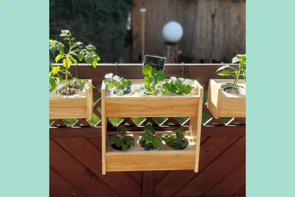 PlantyPlaces 6 Plant Shelf - Verdantvows