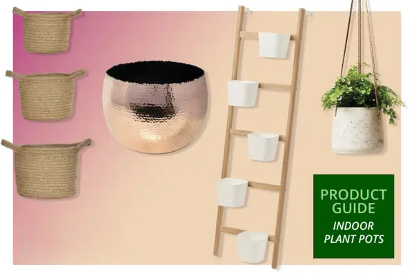 Oito dos melhores vasos de plantas internos em 2023