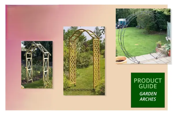 De beste hagebuene i 2024