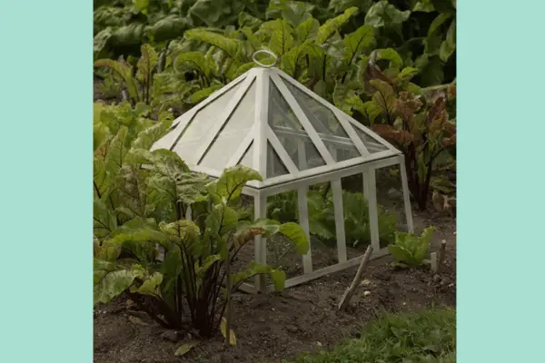 2048x1365_Grow_cloche_T&M