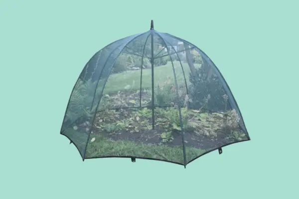 Victorian Glass Bell Jar Cloches - Set of 3 - Verdantvows