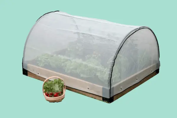 Haxnicks Raised Bed Pest Protection Micromesh - Verdantvows