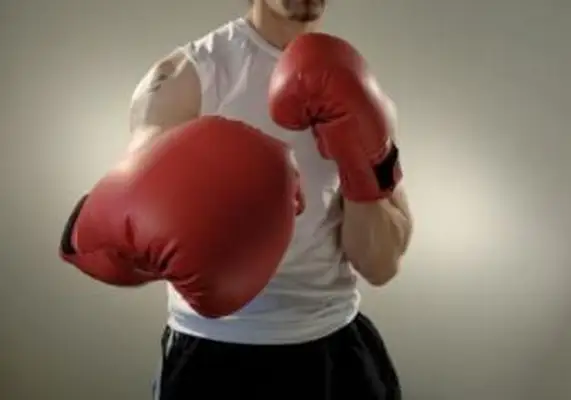 Boxer Halloween Kostüme