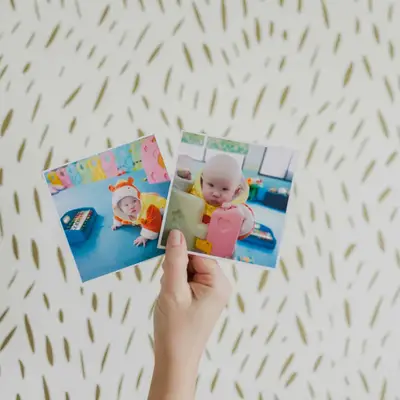 Presentación de Marigold June