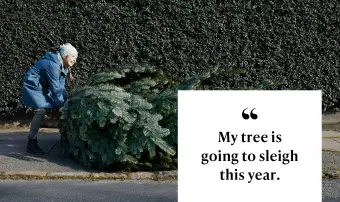 העץ שלי הולך לרוץ במזחלת השנה.