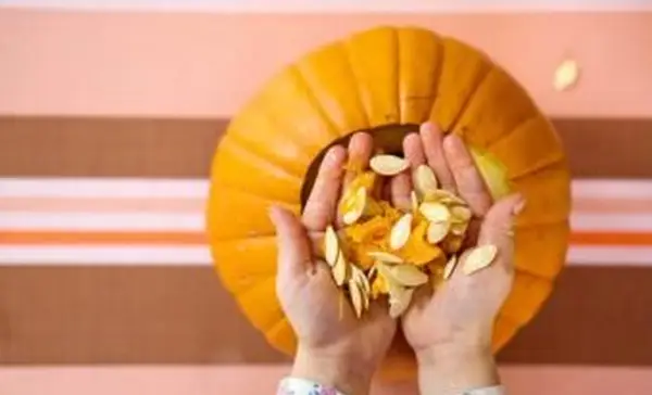 ידיים שמוציאות זרעים מדלעת