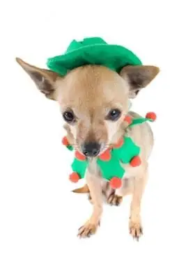 Costumes de lutin de Noël